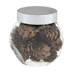 ACCESSOIRE BOCAL POMME DE PIN D.3CM X24 PIECES