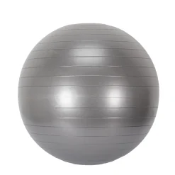 BALLE DE FITNESS D55CM