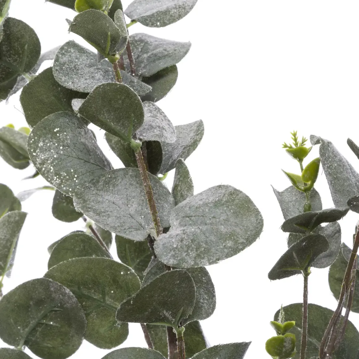 BRANCHE EUCALYPTUS PAILLETEE FLOQUEE 98CM