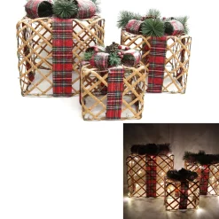 CADEAU LUMINEUX BRANCHES 25CM