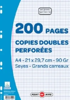200 COPIES DOUBLES PERFOREES A4 90G