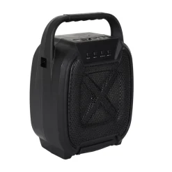 ENCEINTE SANS FIL 8W KARAOKE 2 MICROS INTEGRES