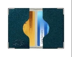 ETUI ANTI-PIRATAGE 2 CB