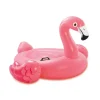 FLAMANT ROSE A CHEVAUCHER