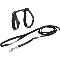 KIT HARNAIS ET LAISSE POUR CHAT 20 A 30CM 120CM NOIR