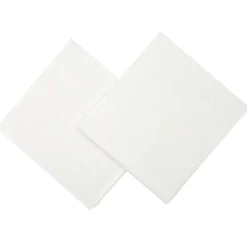 LINGETTE REUTILISABLE X2 PIECES