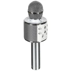 MICRO KARAOKE