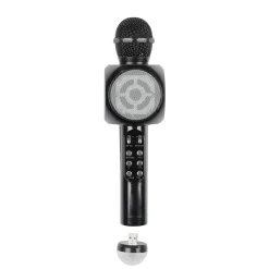 MICRO KARAOKE LED ET LAMPE DISCO USB