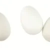 OEUF PLASTIQUE BLANC 6X4CM X8 PIECES