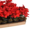 POINSETTIA ROUGE SYNTHETIQUE 17CM