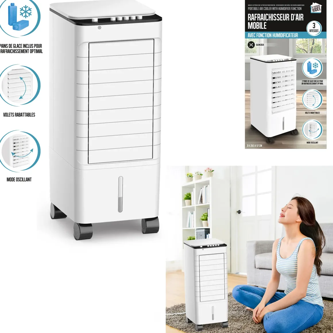 RAFRAICHISSEUR D AIR 65W 5L