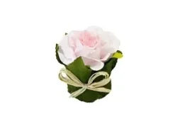 ROSE DANS POT FEUILLAGE ROSE