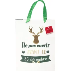 SAC CADEAU NOEL 21.5X8X28.5CM