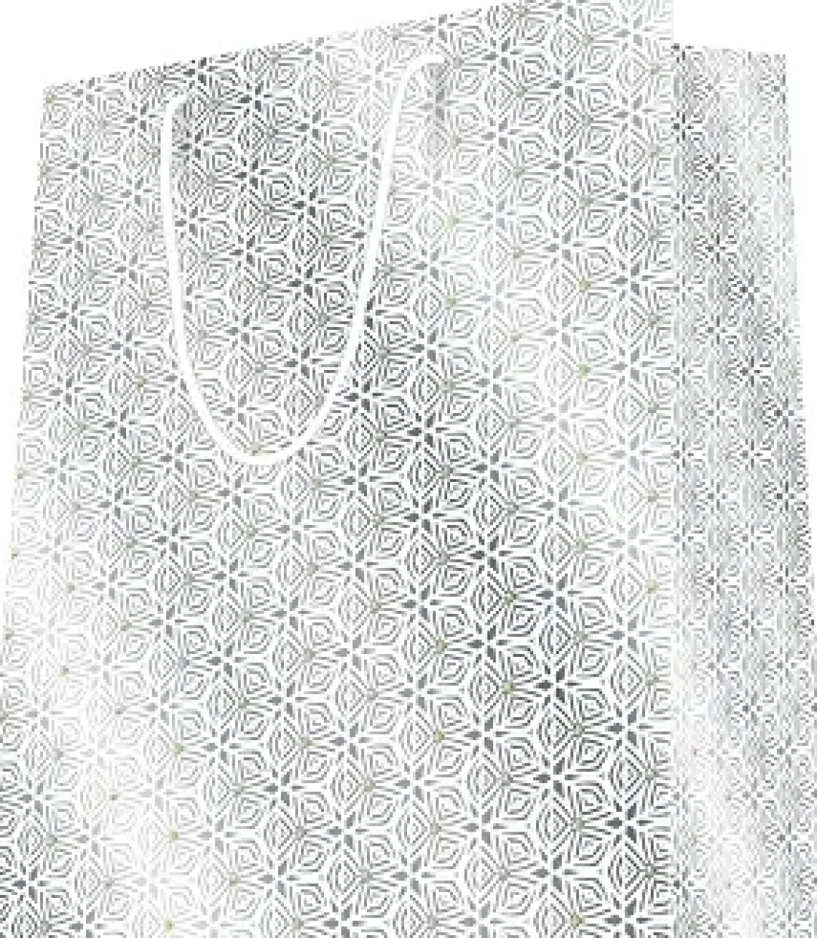 SAC KDO PORTRAIT METALLISE 2020 PF 18X23CM