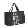 SAC SHOPPING EXTENSIBLE