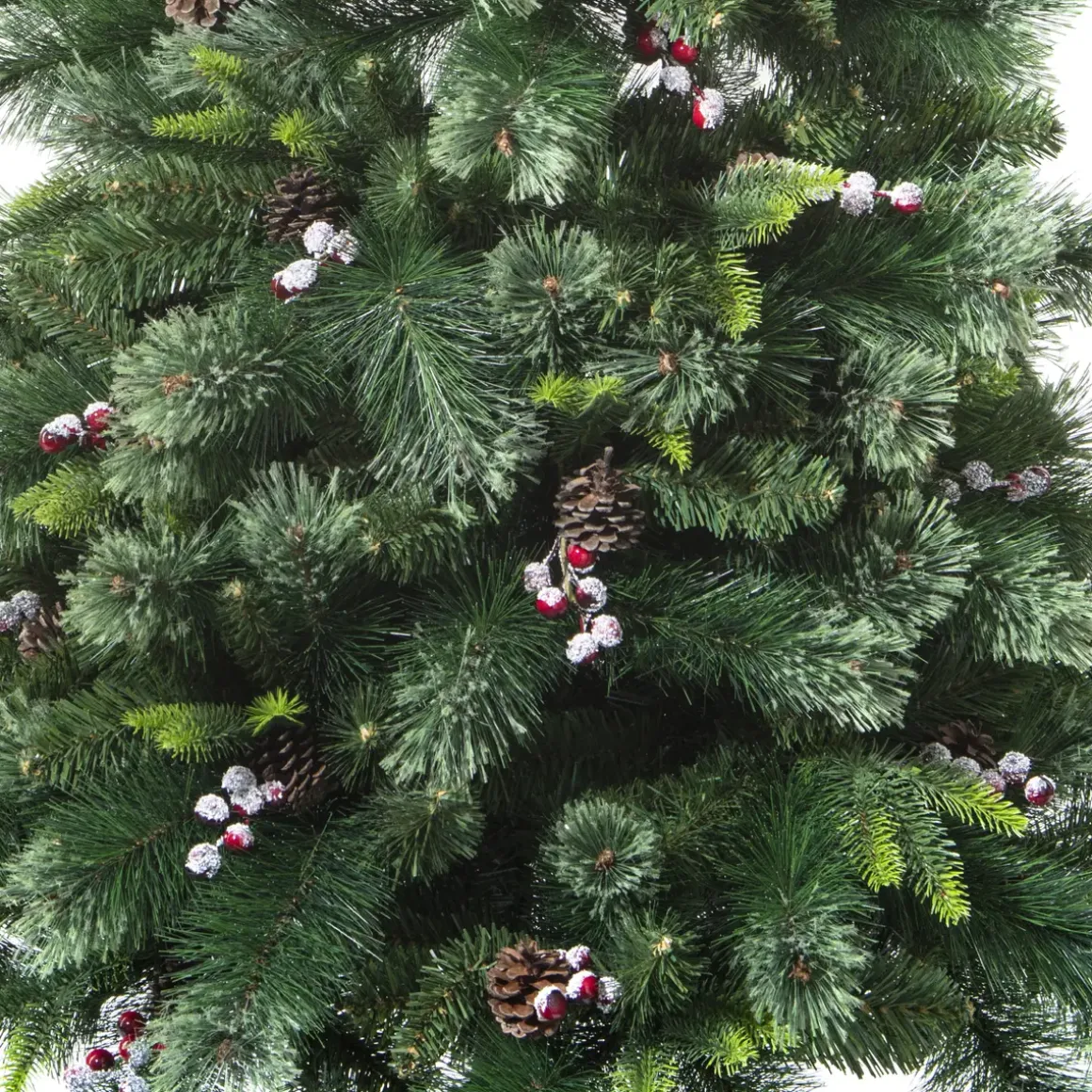SAPIN WYOMING H.180CM