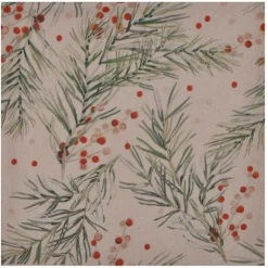 SET 20 SERVIETTES 3 PLIS 33X33CM HOUX PARSEME