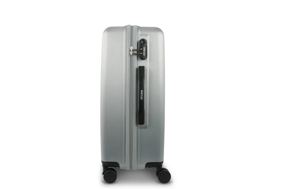 VALISE CITY BAG SYDNEY COLORIS ARGENTE 41X60X25CM